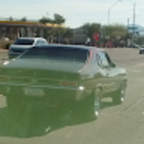 Meet your Posher, Shan - Picture 1 of 1